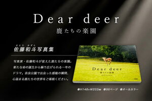 【ふるさと納税】J-63 奈良の鹿 写真集「Dear deer 鹿たちの楽園」