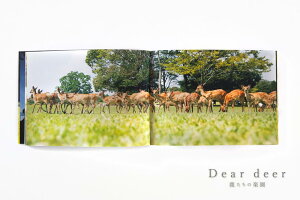 【ふるさと納税】 奈良の鹿 写真集「Dear deer 鹿たちの楽園」 なら J-63