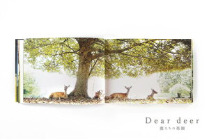 【ふるさと納税】 奈良の鹿 写真集「Dear deer 鹿たちの楽園」 なら J-63