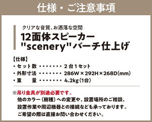 【ふるさと納税】 12面体スピーカー"scenery" バーチ仕上げ 正12面体 無指向性 スピーカー 広帯域 音質 音響 オーディオ オリジナルスピーカー listude おしゃれ インテリア 高音質 AV機器 ポータブルオーディオ 音圧 楽天 通販 返礼品 寄付 ギフト お中元 故郷納税 奈良