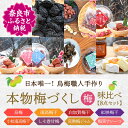 【ふるさと納税】日本唯一!烏梅職人手づくり 七百年の伝統 本物梅づくし(梅)味比べ8点セット なら G-71