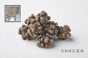 【ふるさと納税】 奈良こんふぇいと ギフトBOX 3個入り(御門米飴味、大和ほうじ茶味、大和煎茶味) 株式会社砂糖傳 増尾商店 『金平糖』 砂糖菓子 おやつ スイーツ お菓子 こんぺいとう お中元 お歳暮 お土産 ご当地 お取り寄せ 寄付 ギフト 奈良県 奈良市 奈良 なら J-08