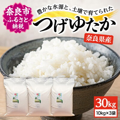 楽天ふるさと納税　【ふるさと納税】米 令和5年産 30kg (10kg×3袋) コシヒカリ つげゆたか 奈良県奈良市産 都祁 お米 コメ こめ ブランド米 お取り寄せ 奈良市 ふるさと納税 K-06 なら