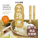 【ふるさと納税】白米パックごはん 選べる 6個カラ40個 単品 定期便 地下水で育てた「金鵄米きんしまい」 レトルトご飯 パックご飯 米 お米 こめ ごはん 安...