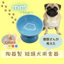 【ふるさと納税】 フードボウル ペット用食器 『 短頭犬用食器 ミント ブルー 』 (スケーター株式会社) 犬用食器 ペット用 犬 食器 餌 餌入れ えさ入れ ...