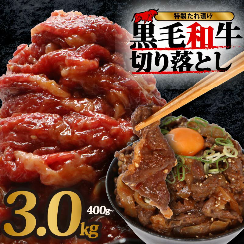 【ふるさと納税】 国産 黒毛和牛 切り落とし 400g ~ 4.8kg 定期便 単品 個包装 選べる 容量 和牛 牛肉 牛 味付け 大和牛 スライス 便利 特製 タレ 漬け 秘伝 たれ 焼き肉 焼肉 牛丼 丼 小分け 大容量 冷凍 BBQ 味付き おすすめ 人気 贈答 ギフト 奈良県 奈良市 近藤精肉店