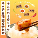 【ふるさと納税】キムチ5種類セット 手作り 本場の味 コクうま 白菜 さきいか えごま ごはんのお供 ピリ辛 お米 ごはん ビール 酒 おつまみ 漬物 野菜 B...