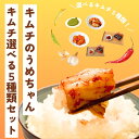 【ふるさと納税】キムチ選べる5種類セット キムチ MAX1.6kg 手作り 本場の味 コクうま 白菜 ニンニク ごはんのお供 ピリ辛 お米 ごはん ビール 酒 ...
