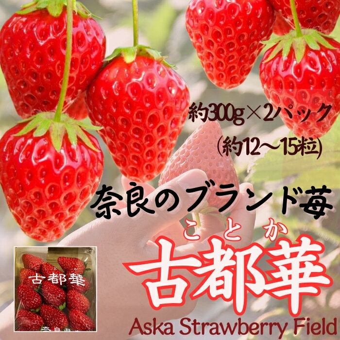 【ふるさと納税】古都華 いちご 限定出荷 いちご 苺 イチゴ ブランド 古都華 大粒 旬 産地 直送 フルーツ 果物 国産 贈答用 プレゼント ギフト ふるさと納税苺 ふるさと苺 おすすめ お得 お試し Aska Strawberry Field 奈良県 奈良市 なら 6-057のサムネイル