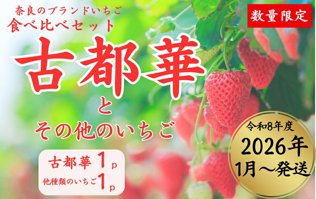 �ڤդ뤵��Ǽ�ǡ����ɤΥ֥��ɤ�����2��ʸ��Բڤ�¾1��˿��٤���٥��å� (¾1��ϡ�������Ρ���ɱ����ǵ�ڡ��ʤ餢���ꡦ��������ӡ����餤���줫) ������ ...