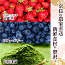 奈良県奈良市の画像2