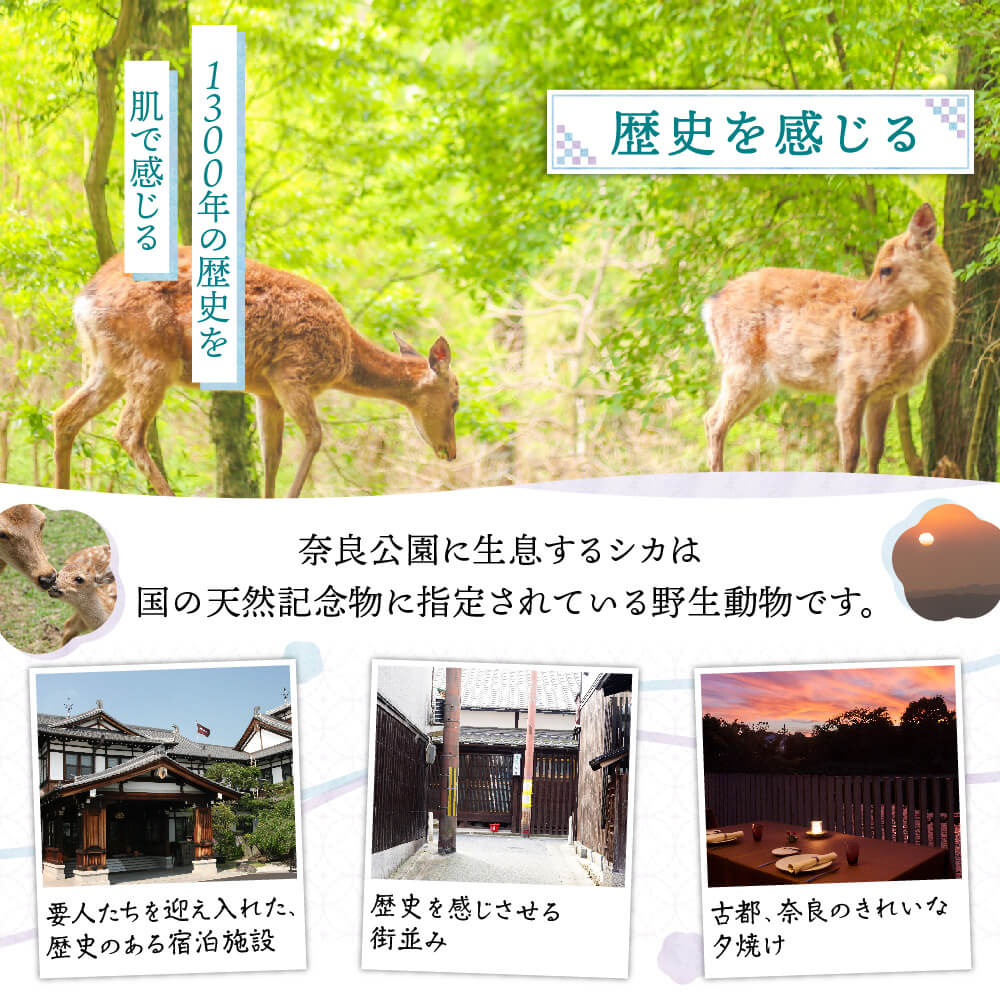 奈良県奈良市の画像3