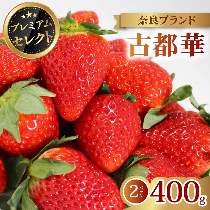 いちご プレミアム セレクト 古都華 2026年 発送 (400g×2パック) 贈答用 予約受付中 数量限定 先行予約 苺 奈良ブランド苺 ブランド 古都華 大粒 苺 旬 産地 直送 フレッシュ 新鮮 フルーツ 果物 くだもの 萩原いちご農園 奈良県 奈良市