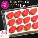 【ふるさと納税】 【 数量限定 予約販売 】 ブランド いちご 古都華 1P 数量限定 大粒 4L ~ 5Lサイズ 2026年 1月 以降順次発送 1月 2月 3月 送料無料 宝石のような濃いルビー色 ギフト スイーツ 苺 フルーツ 果物 イチゴ 甘い 限定 奈良 市 なら 古都華カンパニー IK-01