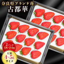 【ふるさと納税】【 数量限定 予約販売 】 ブランド いちご 古都華 2P 宝石のような濃いルビー色 大粒 4L ~ 5L 9~12粒 2026年 1月 以降順...