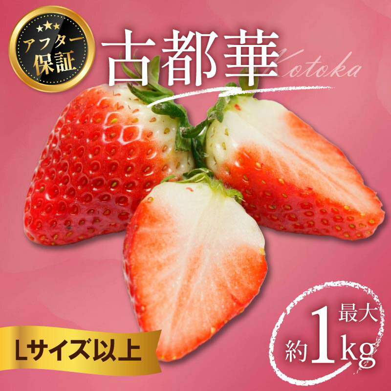 いちご 古都華 500g〜1kg Lサイズ以上 250g 2026年 1月発送 小分け パック フルーツ 果物 スイーツ 甘い いちご 苺 イチゴ お取り寄せ 大粒 フルーツ 果物 国産 冷蔵配送 送料無料 家庭用 ケーキ strawberry ichigo 6000円 10000円 奈良県 奈良市