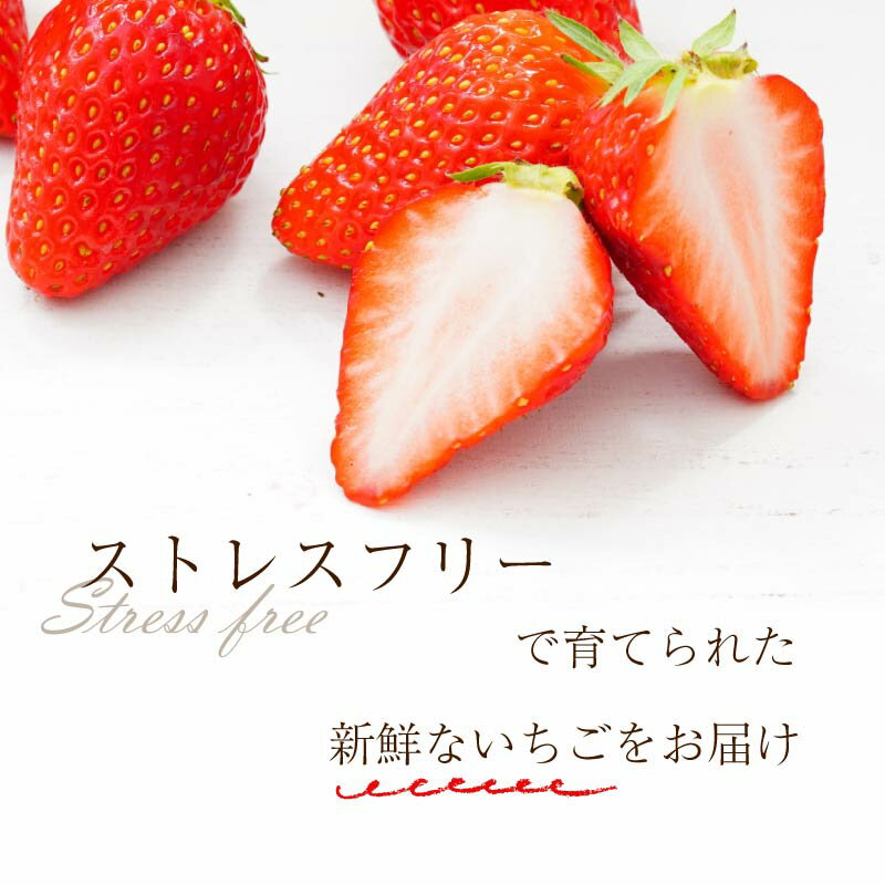 奈良県奈良市の画像3