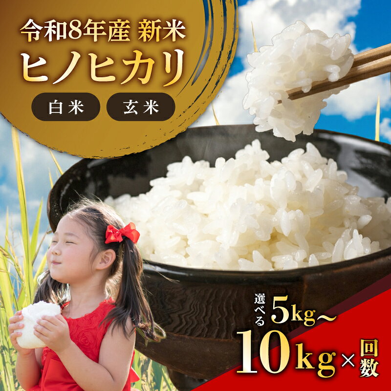 【ふるさと納税】 令和8年産 新米 米 ひのひかり ヒノヒカリ 選べる 容量 5~10kg 回数 単品 定期便 白米 玄米 国産 お米 おこめ こめ kome 国産米 ライス おにぎり お弁当 朝ごはん 朝食 家庭用 贈呈用 ギフト 和食 数量限定 農家直送 産地直送 岩井農園 奈良県 奈良市 なら