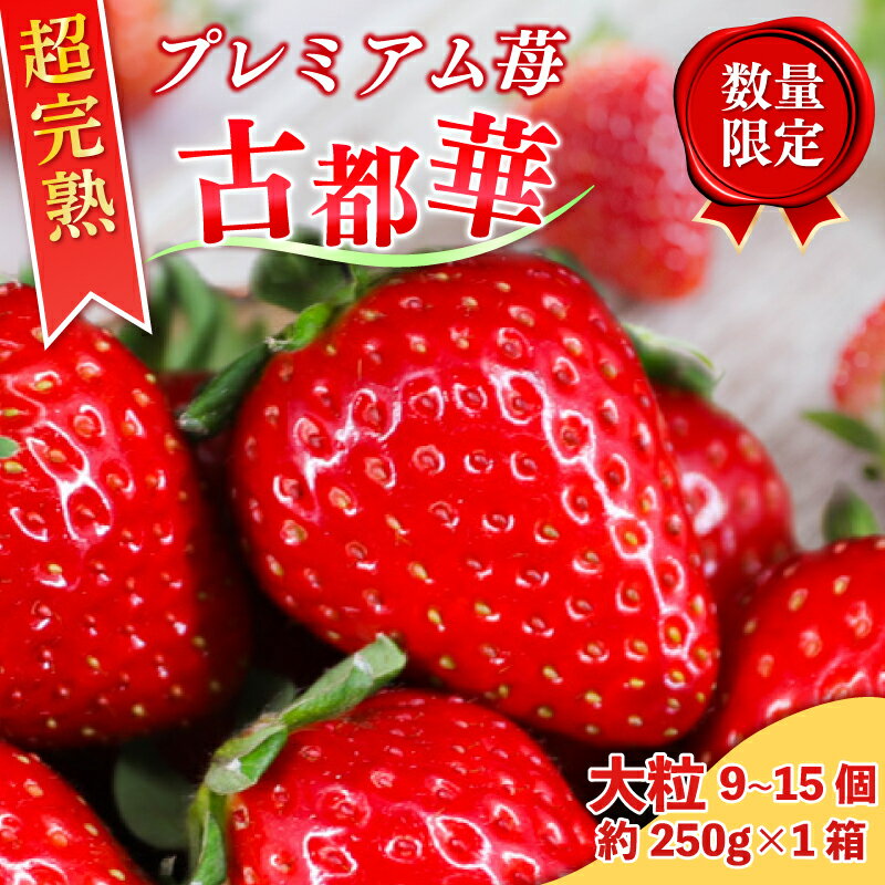 いちご 大粒 9~12個 L~2Lサイズ 約250g 奈良 ことか 2026年1月以降発送 1箱 冷蔵 先行予約 数量限定 古都華 イチゴ 苺 人気 おすすめ フルーツ 果物 ストロベリー スイーツ デザート 産地直送 旬 新鮮 ギフト 贈答 お歳暮 プレゼント 奈良県 奈良市 6FARM