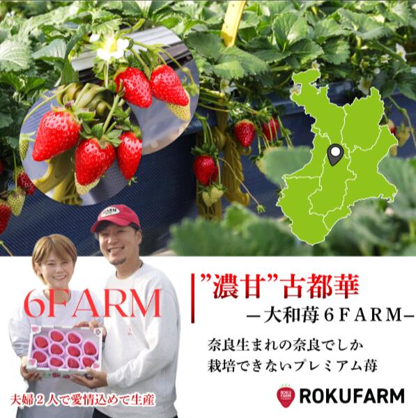 【ふるさと納税】 いちご 大粒 5~7個 L~2Lサイズ 約250g 2027年発送 奈良 ことか 1箱 冷蔵 先行予約 数量限定 古都華 イチゴ 苺 人気 おすすめ フルーツ 果物 ストロベリー スイーツ デザート 産地直送 旬 新鮮 ギフト 贈答 お歳暮 プレゼント 奈良県 奈良市 6FARM f292010-nara-10002354 奈良県奈良市 サンプル画像3