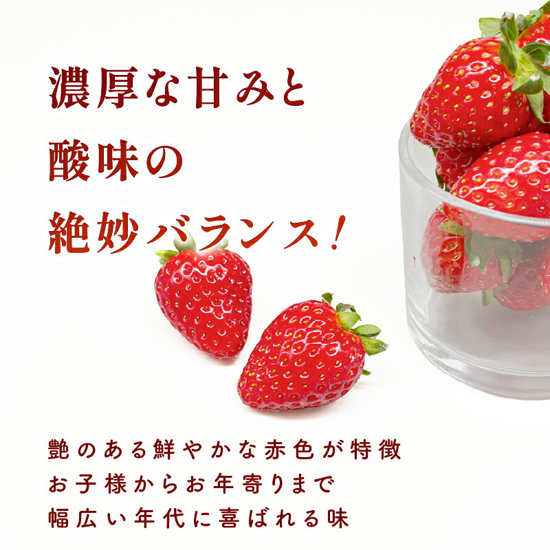 【ふるさと納税】2027年発送 数量限定 奈良のブランドいちご 古都華 約520g~1040g イチゴ 産地 直送 フレッシュ スイーツ スムージー フルーツ 果物 国産 ベリー 贈答用 プレゼント ふるさと納税 ふるさと おすすめ 限定 奈良県 奈良市 なら ファーム和だや fwd004_R9_OYA