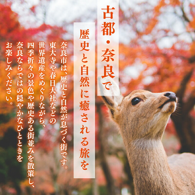【ふるさと納税】 HIS 宿泊 クーポン 奈良市 3,000円分~90,000円分 宿泊券 宿泊専用 トラベル チケット 人気 観光地 おすすめ 遊ぶ 食べる 観光 ホテル 旅館 温泉 ビジネス 出張 家族旅行 一人旅 グループ旅行 ギフト プレゼント 贈り物 国内旅行 奈良県 奈良市 f292010-nara-10002834 奈良県奈良市 サンプル画像2
