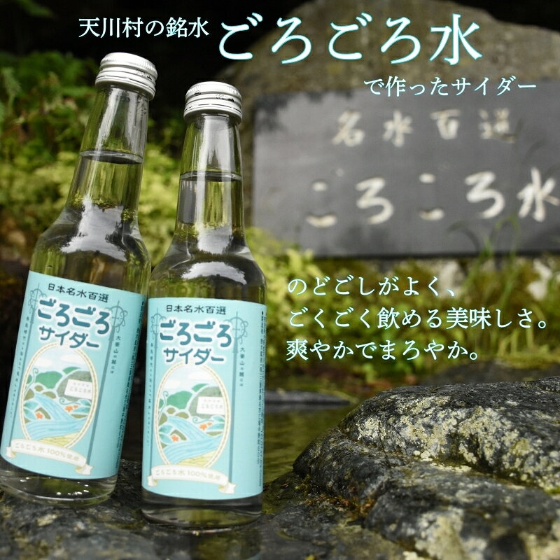 【ふるさと納税】 ごろごろサイダー 250ml × 1箱（24本入） サイダー 飲料 ご当地サイダー 瓶サイダー ギフト お土産 プレゼント 贈答品 お礼の品 返礼品内祝い 新築祝い ご挨拶 なら 奈良県 奈良市