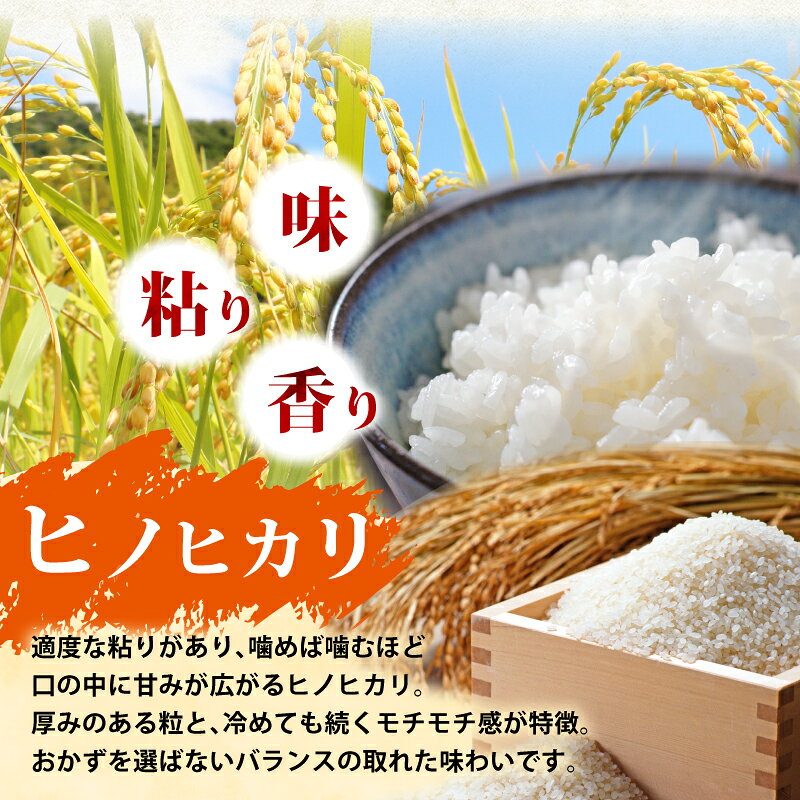 【ふるさと納税】 令和8年産 新米 米 7年 8年 ヒノヒカリ 選べる 5kg ～ 30kg 白米 玄米 数量限定 単品 単発 定期便 3ヶ月 3回 6ヶ月 6回 選べる 回数 先行予約 お米 国産 こめ ライス ご飯 ごはん お弁当 白ご飯 精米 農家直送 送料無料 ゆうちゃんファーム 奈良県 奈良市 f292010-nara-10002850 奈良県奈良市 サンプル画像3