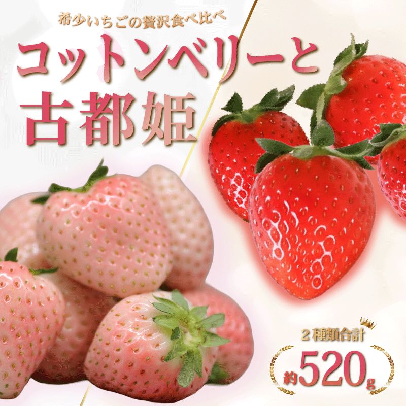 苺 いちご コットンベリー 古都姫 詰め合わせ
