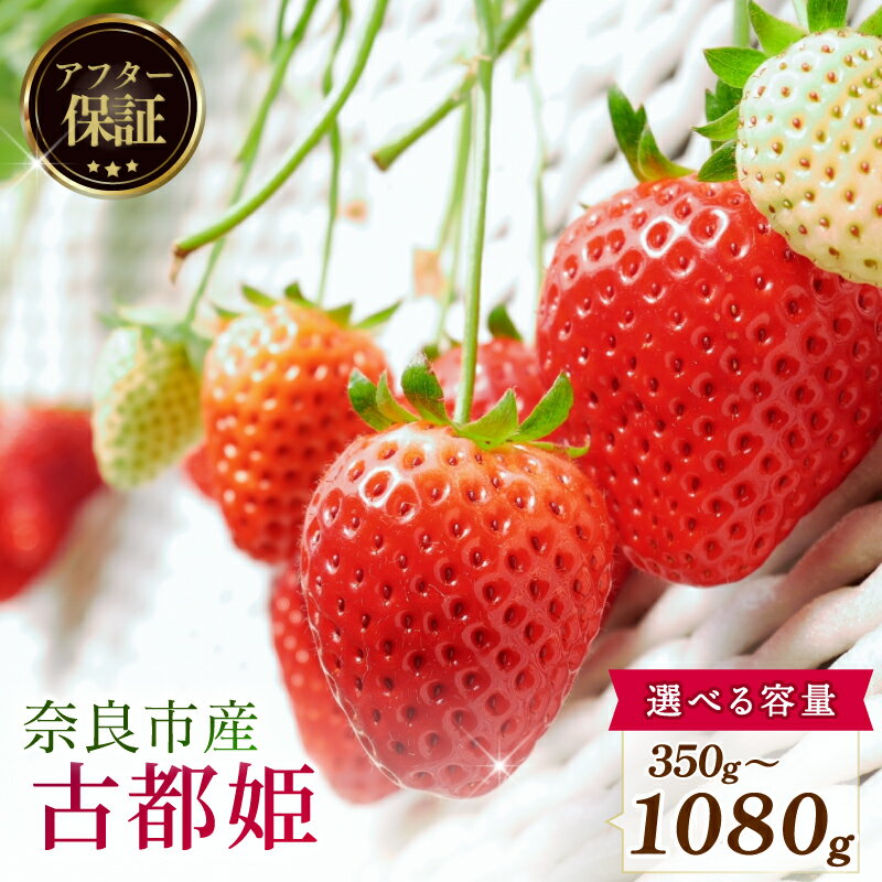 【ふるさと納税】 いちご 先行予約 数量限定 古都姫 約540g 270g × 2P 約1080g 270g × 4P 約350g 新鮮 産地直送 厳選 2026年2月以降発送 旬 ブランド イチゴ 苺 フルーツ 果物 くだもの 国産 ベリー 贈答用 ストロベリー デザート スイーツ 季節 特産品 奈良市 奈良県