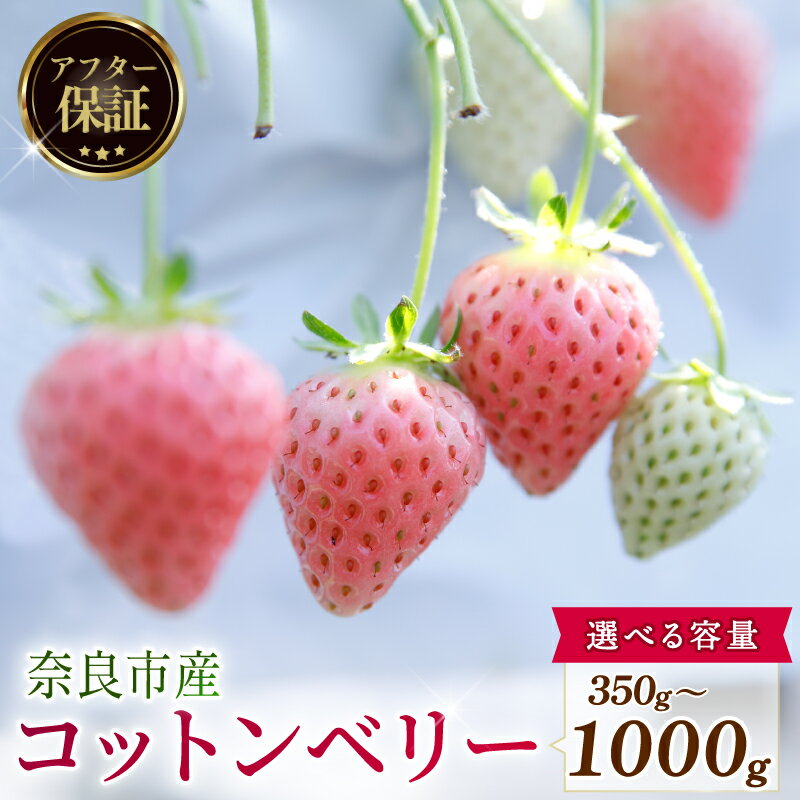 【ふるさと納税】 いちご 先行予約 数量限定 コットンベリー 約500g 250g × 2P 約1000g 250g × 4P 約350g 新鮮 産地直送 厳選 2026年2月以降発送 旬 ブランド イチゴ 苺 フルーツ 果物 くだもの 国産 限定 ベリー 贈答用 デザート スイーツ 季節 特産品 奈良市 奈良県