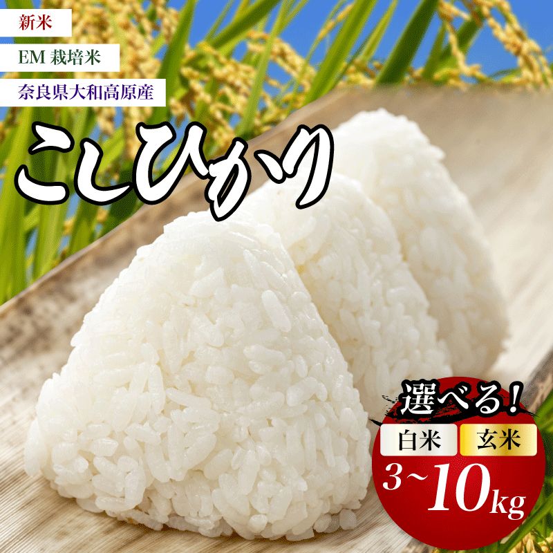 新米 コシヒカリ EM米 em米 選べる 白米 玄米 単品 3kg ~ 10kg 米 お米 令和8年産 数量限定 単発 新米 お米 おこめ コメ こめ 国産 こしひかり 人気 お米 国産 こめ ライス ご飯 ごはん お弁当 白ご飯 精米 農家直送 送料無料 窪田りんご園 奈良県 奈良市