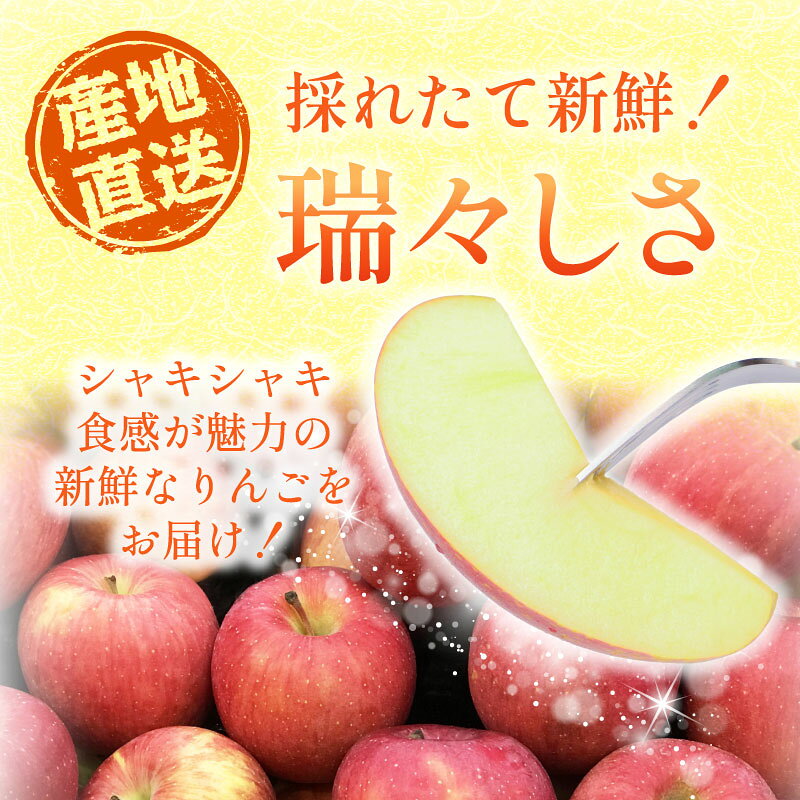 【ふるさと納税】 りんご ふじ 選べる 贈答 訳あり 約1.8kg ~ 約4kg 2026年産 令和8年産 フルーツ 果物 スイーツ デザート おやつ ふじりんご 林檎 リンゴ 旬 贅沢 お菓子 サラダ 贈答用 訳あり 訳アリ 産地直送 数量限定 先行予約 窪田りんご園 奈良県 奈良市 奈良 なら f292010-nara-10002707 奈良県奈良市 サンプル画像2