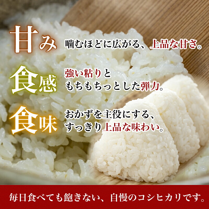 【ふるさと納税】 新米 コシヒカリ EM米 em米 選べる 白米 玄米 単品 3kg ~ 10kg 米 お米 令和8年産 数量限定 単発 新米 お米 おこめ コメ こめ 国産 こしひかり 人気 お米 国産 こめ ライス ご飯 ごはん お弁当 白ご飯 精米 農家直送 送料無料 窪田りんご園 奈良県 奈良市 f292010-nara-10003432 奈良県奈良市 サンプル画像3