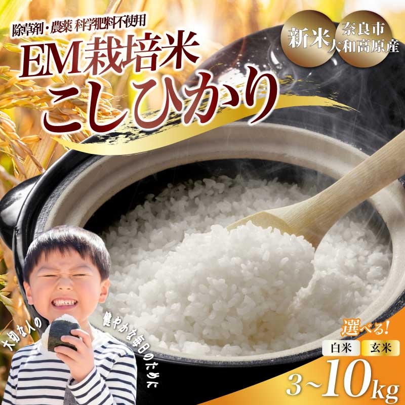 新米 コシヒカリ EM米 em米 選べる 白米 玄米 単品 3kg ~ 10kg 米 お米 令和8年産 数量限定 単発 新米 お米 おこめ コメ こめ 国産 こしひかり 人気 お米 国産 こめ ライス ご飯 ごはん お弁当 白ご飯 精米 農家直送 送料無料 窪田りんご園 奈良県 奈良市