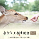 【ふるさと納税】奈良県奈良市応援寄付金(3000円単位でご寄付いただけます) 返礼品なし 寄附のみ 【 支援 応援 自治体支援 お礼の品なし 奈良県 奈良市の発...