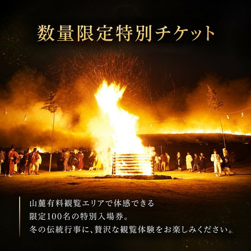 【ふるさと納税】 入場券 若草山焼き2027 「山麓有料観覧エリア入場券」（1名様分） 花火 打ち上げ花火 花火大会 炎 数量限定 若草山焼き 山焼き 体験 体験チケット 伝統イベント イベント ダイナミック 山麓ゲート内 臨場感 伝統行事 旅行 関西 奈良県 奈良市 奈良 なら f292010-nara-10003426 奈良県奈良市 サンプル画像3