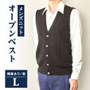 【ふるさと納税】模様有 メンズニット オープンベスト クロ L寸 15150【1219749】