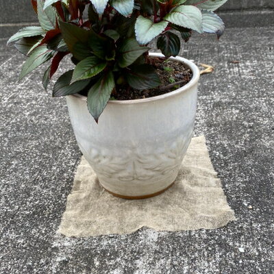 奈良県大和高田市の画像3