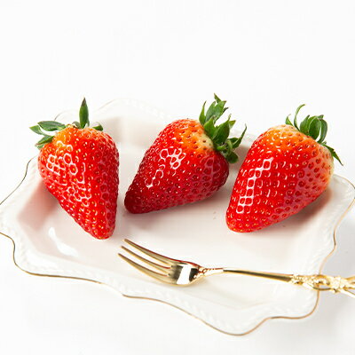 奈良県大和高田市の画像3