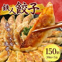 【ふるさと納税】鉄人餃子【150個(30個×5袋) 300個(30個×10袋)】【配送不可地域:離島】【G1373365】