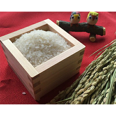 【ふるさと納税】2022年10月発送開始『定期便』奈良県産ひのひかり　2kg(1袋)　全12回【5080453】