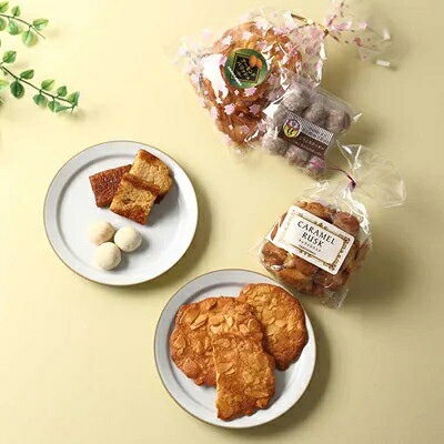 2023年11月発送開始『定期便』人気の焼き菓子セット 定期便C 全4回【5145232】