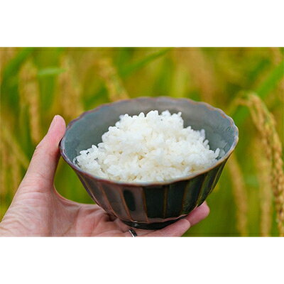 2023年9月発送開始『定期便』【無洗米】奈良県大和高田市産ヒノヒカリ5kg 全12回【5161153】