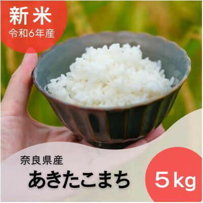 【ふるさと納税】奈良県産あきたこまち5kg【1454618】...