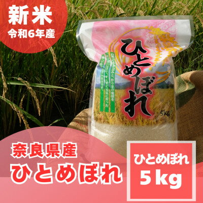 【ふるさと納税】奈良県産ひとめぼれ5kg【1454619】...