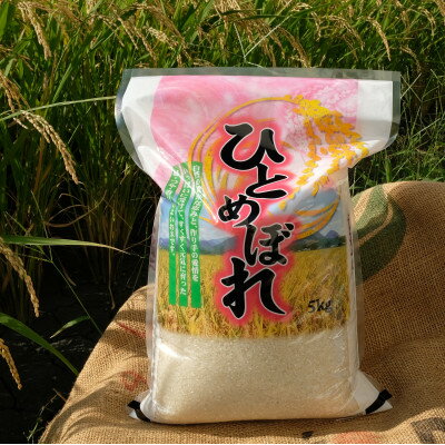 奈良県大和高田市の画像2