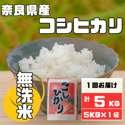 【ふるさと納税】【無洗米】奈良県産コシヒカリ5kg【1459674】...