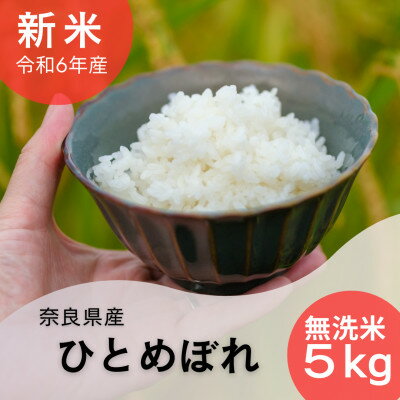 【ふるさと納税】【無洗米】奈良県産ひとめぼれ5kg【1462025】...