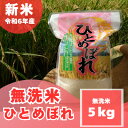 人気ランキング第29位「奈良県大和高田市」口コミ数「0件」評価「0」【無洗米】奈良県産ひとめぼれ5kg【1462025】